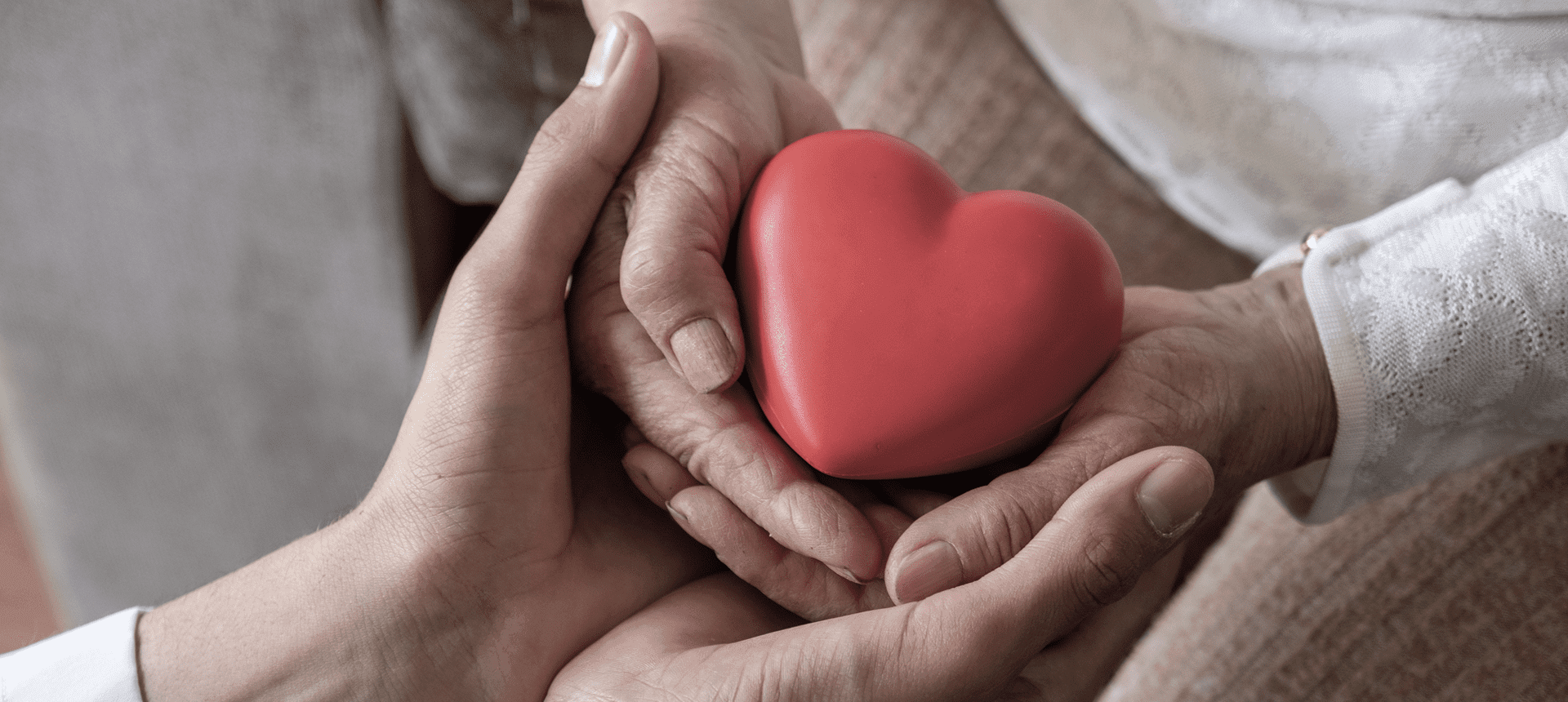 Hands holding a red heart object
